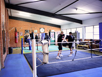 Euro School of Boxing